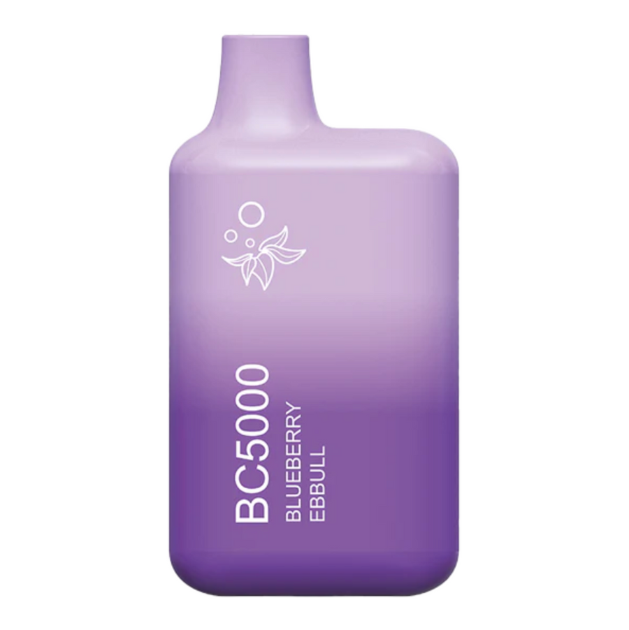 BC5000 Disposable Pod Vape